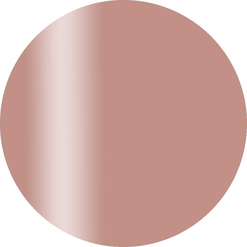 Calgel Plus CGS02BR Brage 2.5g Gel Nail