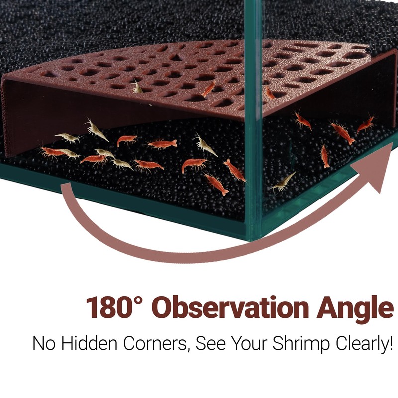 HERPDEN Shrimp Tank Accessories – 2Pcs Fish Tank Decoration, 180°