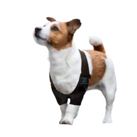 PetyPup Rodillera para Perros - Soporte para Patas Delanteras, Protección Articular Canina, Alivio del Dolor Articular, Ajustable y Transpirable - Soporte Articulaciones Perro