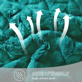 Exclusivo Mezcla Large Flannel Fleece Throw Blanket, 127x178 CM Sofa Throws, Soft Jacquard Weave Leaves Pattern Throws for Sofa, Teal Blanket