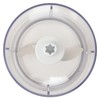Maruyama Alegre Mini Food Chopper White Orange AL-905FC