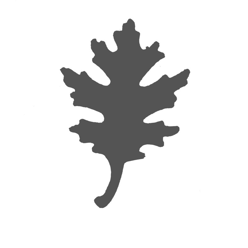 Vaessen Creative Craft Paper Punch Oakleaf Motive Puncher, Multi-Colour, 6.5