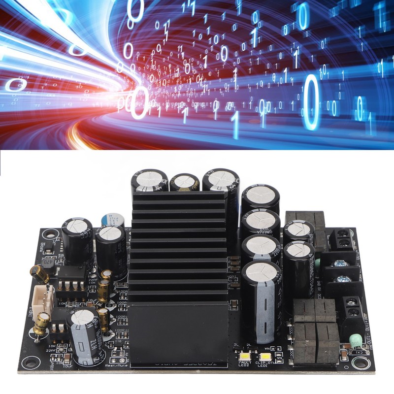 HIFI Digital Power Amplifier Board Professional 2.0 Channel Class D
