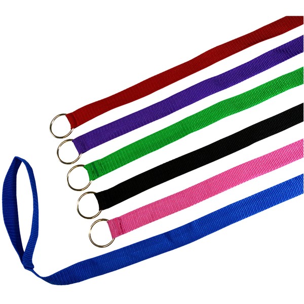 Downtown Pet Supply 6 Foot Slip Lead, Slip Leads, Kennel Leads Bulk Dog Leashes with O Ring for Dog Pet Animal Control Grooming, Shelter, Rescues, Vet, Veterinarian, (12 Pack, Colors: Various)
