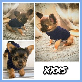Chihuahua Clothes Puppy Dog Coat Knit Jumper Cosy Teacup Smaller Breeds (XXXS, Navy)