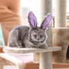 Rabbit Ears Costume, Costume for Cats, Cat Clothes (Purple)