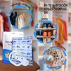 [1x150gr] Secaplus - Absorbedor de humedad en Closet y Armario