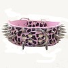 Haoyueer Leather Sharp Spiked Studded Dog Collars, Harnesses & Leashes