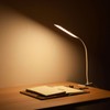 RAOYI LED Desk Lamp, Eye-Care Dimmable Flexible Gooseneck 5W USB