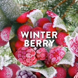 Air Wick, Winter Berry Wonderland, Plug In Electrical Air Freshener Refills, 19ml, Pack of 1, Lasts up to 100 days