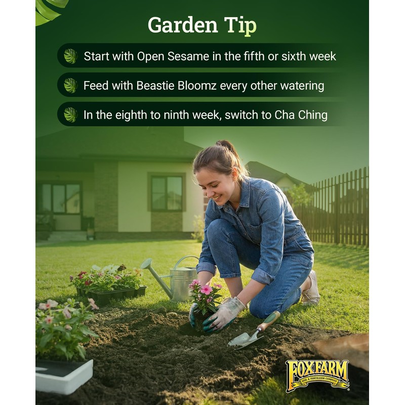 FoxFarm Beastie Bloomz Water Soluble Fertilizer for Mid-Flowering Stage, High