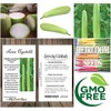 Big Pack - (50) Calabash Long Squash/Melon Seeds, Opo Bottle