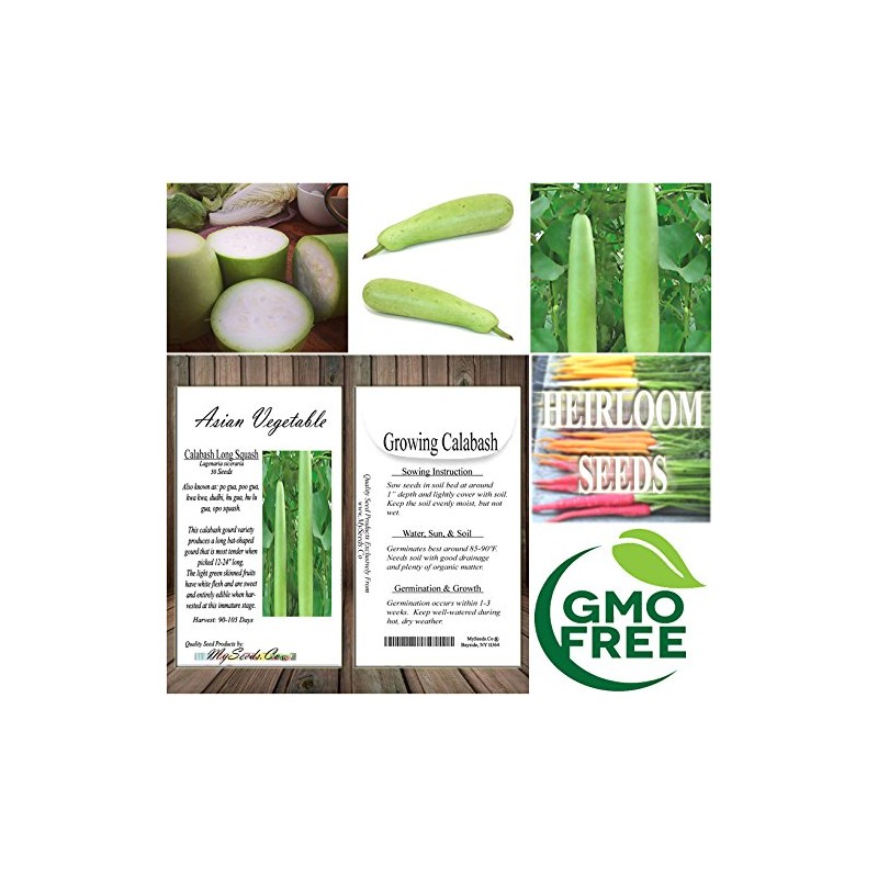 Big Pack - (50) Calabash Long Squash/Melon Seeds, Opo Bottle
