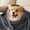 Waterproof Pet Blanket, Liquid Pee Proof Dog Blanket for Sofa