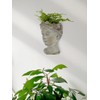 Abbott Collection Goddess Head Wall Planter - Small Cement Indoor