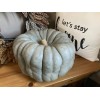 Beesrwelcome Jarrahdale Blue Pumpkin Seeds For 2024 Year~South Dakota Homegrown