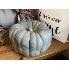 Beesrwelcome Jarrahdale Blue Pumpkin Seeds For 2024 Year~South Dakota Homegrown & Harvested~