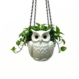 Self-Watering Hanging Planters, 3D Printed Owl Flower Pots