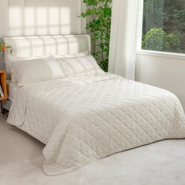 PlushHavenCloud Velvet Quilt Set Queen Size - Luxury Lightweight Velvet Bed Comforter & 2 Pillow Shams | Oversized Coverlet Bedspread 3 Piece | Oeko-TEX All Season Bedding White