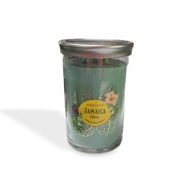 Yankee Candle Scent: Jamaica Vibes, Caribbean Collection 20 Oz 2-Wick Tumbler Candle, Tropical Palm & Patchouli Scent