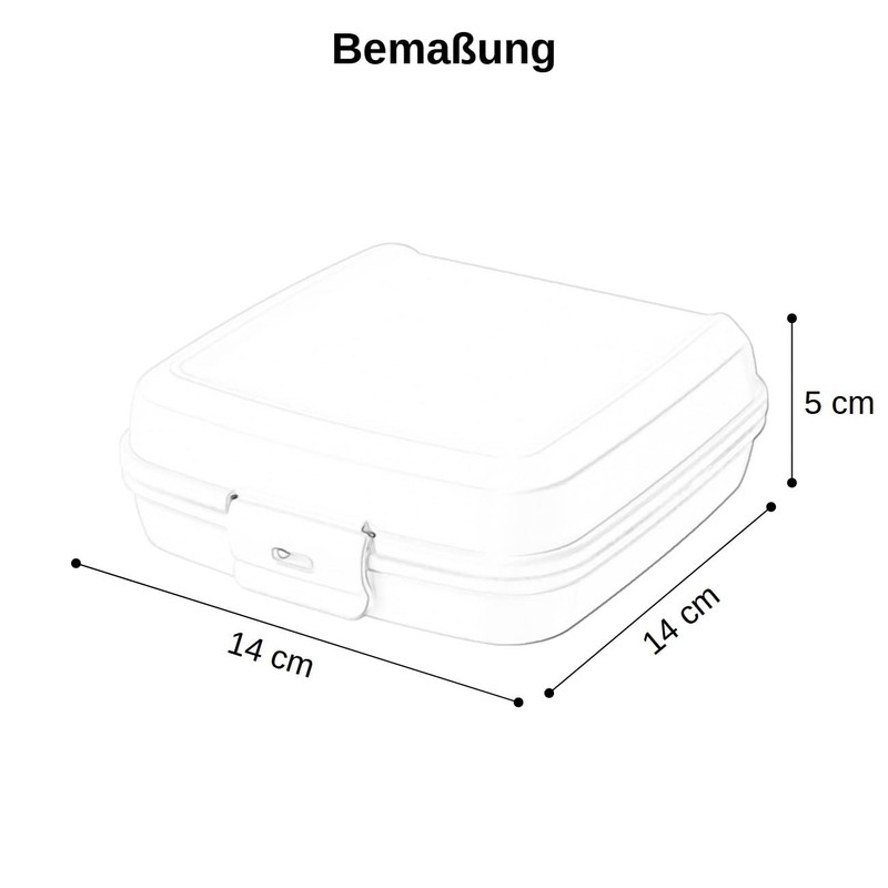 Engelland 2 x Lunch Box Salmon Plastic BPA Free Lunch