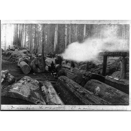 HistoricalFindings Photo: Vance's Logging Claim,steam Engine,Lumberjacks,c1890