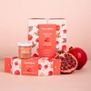 Blancrème - Box of 3 Facials 96% - 98% Natural