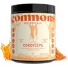 Commons Hongos Adaptógenos - Hongo Cordyceps - Extracto Puro en