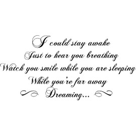 If I Could Stay Awake Just to Hear You Breathing Dreaming Watch You Smile While You are Sleeping While Your Far Away Dreaming Wall Decal Sticker