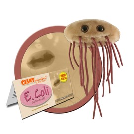 GIANTmicrobes E. Coli Plush, Microbiology Gifts, Gastroenterologist Gift, Gastroenterology Gifts, Gut Microbiome, Medical Laboratory Scientists, Petri Dish, Cooking Gift