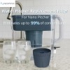 Nispira Water Pitcher Filter Replacement For Epic Nano Pitcher 150