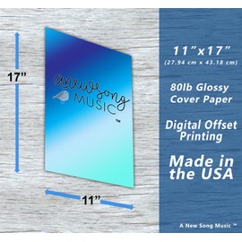 A New Song Music Dobro Fretboard Notes & Rolls Chart Resonator Guitar Poster - E Tuning - Beginners & Intermediate Instructional 11"x17"