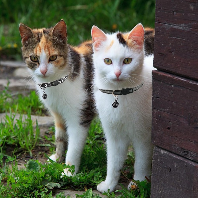 Hepplly 2-Pack Cat Collars Quick Release Reflective Kitten Collar with