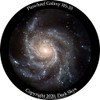 Miller Engineering Pinwheel Galaxy Disc for Homestar Flux Home Planetarium, (HS-35)