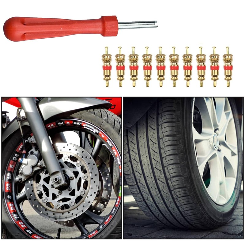 JOYVOX 33-Pcs Tire Valve Repair Kit with Core Remover &