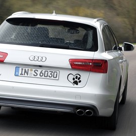 Hmkaufen Car Sticker, Paw Sticker with Heart for Cars, Car Wash (10 x 11 cm, Set of 2)