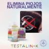 Kit Elimina Piojos, Shampoo, Lendrera, Repelente, Testalin-k