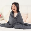 Topblan 3 lb Weighted Blanket, 36" x 48" Small Heavy