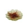 CANTINA STAR | Calamari Jerky (Dried Calamari) | OTSUMAMI |