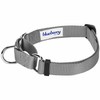 Blueberry Pet Essentials Matching Martingale Dog Collar and Leash Set