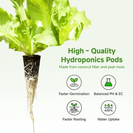 TEZKOLES 50 Pack Round hydroponic Growth Sponge, Suitable for Indoor and Outdoor hydroponic Gardens, Seed Germination, Plant Rooting, Vegetable Cultivation, Flower Arrangement