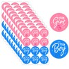 Gender Reveal Stickers 120pcs GenderReveal Stickers Games Baby Shower Party