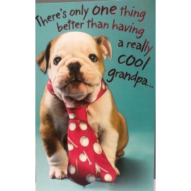 American Greetings Really Cool Grandpa Happy Birthday Grandkid American Greetings Dog Birthday Card