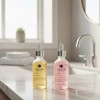 Kit Duo - Azelaico + Kójico Isabelle