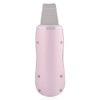 Ultrasonic Face Cleaning Therapy Skin Washer Beauty Device Massager Machine