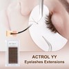 ACTROL YY Eyelashes Extension Lashes Brown C Curl 0.07mm 10mm