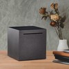 Money Box Not To Open, Money Box Adult (12 cm)