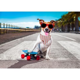 Lionet Paws Dog Bandana, Sailing Boat Pet Bandanas Cotton Washable Boys Girls Square Dog Bib Neckerchief Dog Bandanas for Small Medium Large Dogs