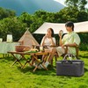Picnic Bag Foldable Picnic Basket Insulated Comfortable Handle Ice Pockets