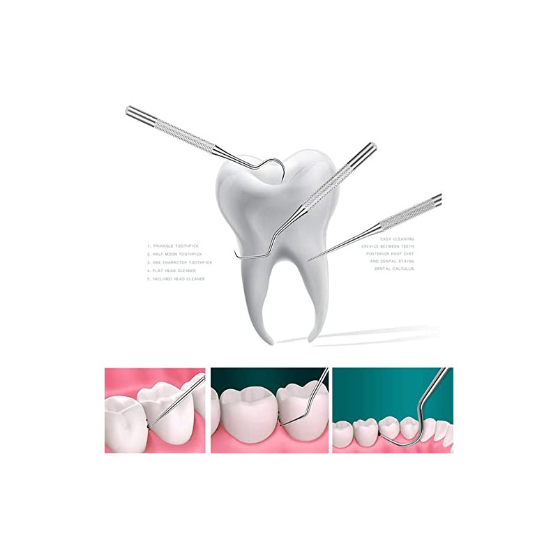 6Pcs Portable Reusable Stainless Steel Toothpicks Metal Tooth Scraper Dental
